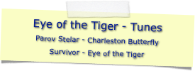 Eye of the Tiger - Tunes
Parov Stelar - Charleston Butterfly
Survivor - Eye of the Tiger